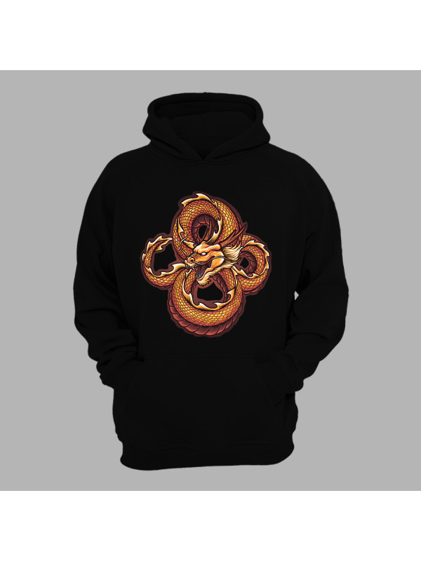 Худі з принтом "Нескінченний дракон" (231013)