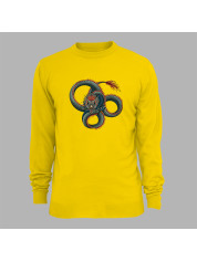 Світшот з принтом "Три кола вогняного дракона" (231019)