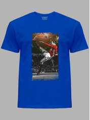 Футболка Златан Ібрагімович, 24022197