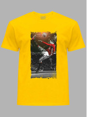 Футболка Златан Ібрагімович, 24022197