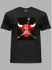 Футболка Чикаго Буллз и Джордан - Chicago Bulls and Jordan, 24022218