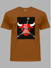 Футболка Чикаго Буллз и Джордан - Chicago Bulls and Jordan, 24022218