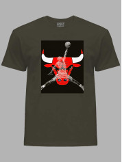 Футболка Чикаго Буллз и Джордан - Chicago Bulls and Jordan, 24022218