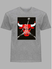Футболка Чикаго Буллз и Джордан - Chicago Bulls and Jordan, 24022218
