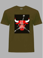 Футболка Чикаго Буллз и Джордан - Chicago Bulls and Jordan, 24022218