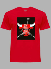 Футболка Чикаго Буллз и Джордан - Chicago Bulls and Jordan, 24022218