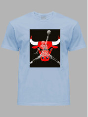 Футболка Чикаго Буллз и Джордан - Chicago Bulls and Jordan, 24022218