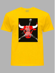 Футболка Чикаго Буллз и Джордан - Chicago Bulls and Jordan, 24022218