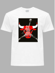 Футболка Чикаго Буллз и Джордан - Chicago Bulls and Jordan, 24022218