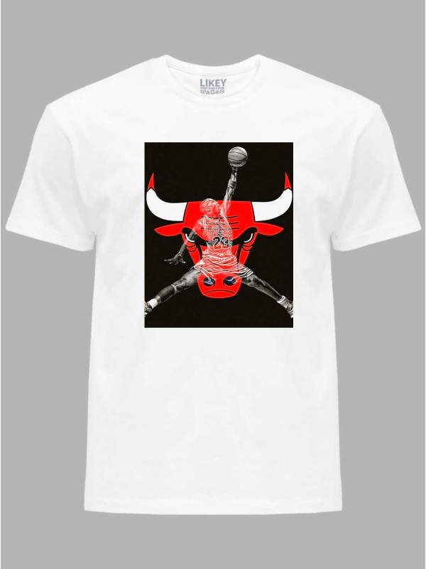 Футболка Чикаго Буллз и Джордан - Chicago Bulls and Jordan, 24022218