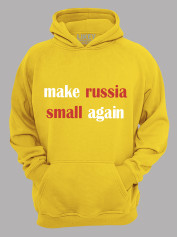 Худи make russia small again, 26020098